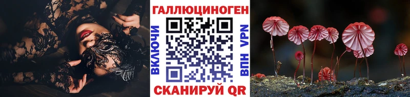 Псилоцибиновые грибы Psilocybe  Каргополь 