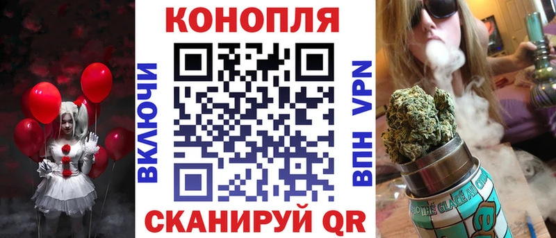 где можно купить наркотик  blacksprut рабочий сайт  Конопля план  Каргополь 
